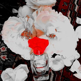 Rose Flamme - Aroma Essence
