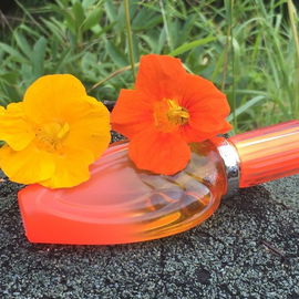 Sunset Heat - Escada