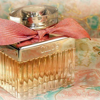 Roses de Chloé - Chloé