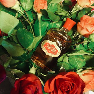 Krasnaya Moskva / Красная Москва von Nóvaya Zaryá