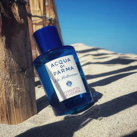 Bitter & blue