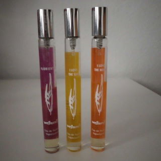 I love the Moon / Moon - Wellments