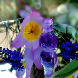 So Elixir Purple - Yves Rocher
