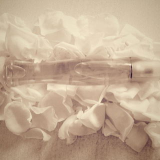 Summer White Sunrise - Avon