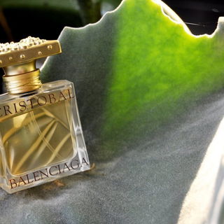 Cristobal (1998) von Balenciaga