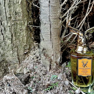 Forever Love - Pana Dora