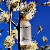 Die Natur erwacht aus ihrem Winterschlaf (by Gandix)