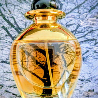 Basic Black (1990) (Cologne) by Bill Blass