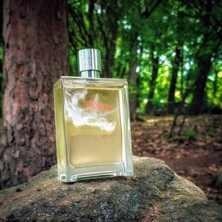 Terre d'Hermès Eau Givrée von Hermès