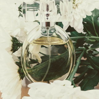 Beauty (Eau de Parfum) von Calvin Klein