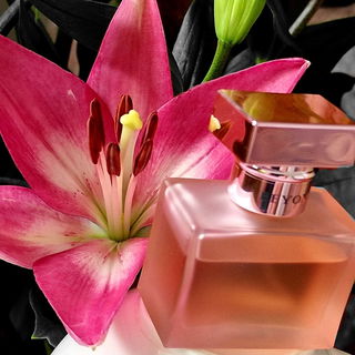 Beyond Romance by Ralph Lauren