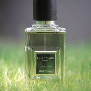 Scandal pour Homme Absolu - Jean Paul Gaultier