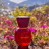 Bonbon in der Wildnis (von Sugar1912)