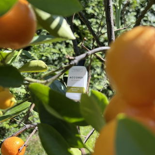 Arancia Brasile von The Merchant Of Venice