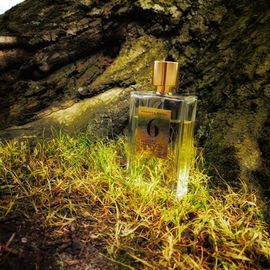 6 - Jasmin, Sandalwood, Oriental Musk (Eau de Parfum) - Rosendo Mateu - Olfactive Expressions