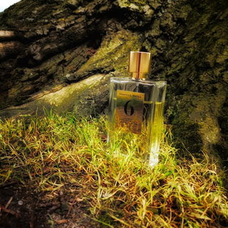 6 - Jasmin, Sandalwood, Oriental Musk (Eau de Parfum) von Rosendo Mateu - Olfactive Expressions