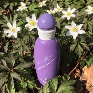 Il Vs Iris - Hilde Soliani Profumi