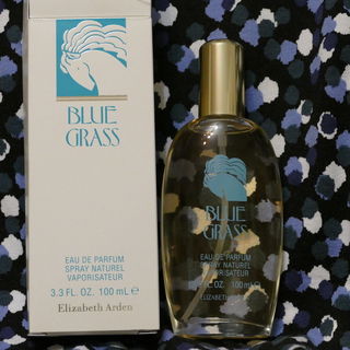 Blue Grass (1989) by Elizabeth Arden