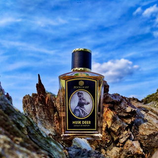 Musk Deer - Zoologist