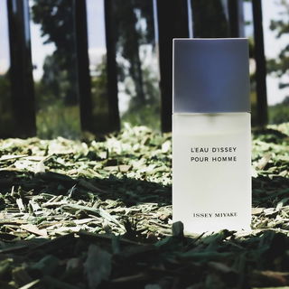 L'Eau d'Issey pour Homme (Eau de Toilette) - Issey Miyake