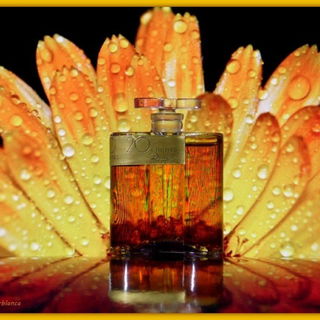 20 Ks / 20 Carats / 20 Quilates - Dana