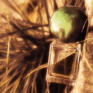 Fantôme de Maules - Stora Skuggan