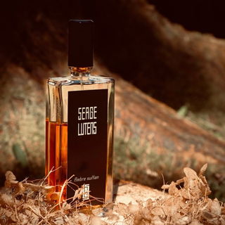 Aqva Amara (Eau de Toilette) - Bvlgari