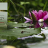 Das Foto hat mein Sohn (14) gemacht. Credits gehen an ihn! (von Edda32)