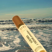 Nächster Halt: Urlaub! (by NuiWhakakore)