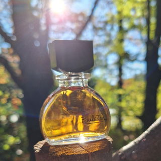 Balestra (1978) (Eau de Toilette) - Renato Balestra