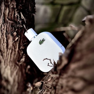 …📷🌍 Thank you. Danke schön. Merci beaucoup. Muchas gracias. Dōmo arigatō gozaimasu 💐…