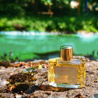 💚 Vielen lieben Dank für Eure Besuche 💚