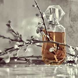Gianni Versace (Eau de Toilette) - Versace