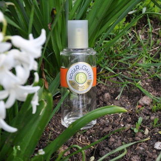 Fleur d'Osmanthus - Roger & Gallet