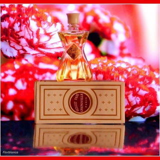 Œillet Fané (Extrait) - Grenoville