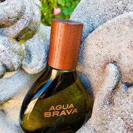 Agua Brava (Eau de Cologne) - Puig
