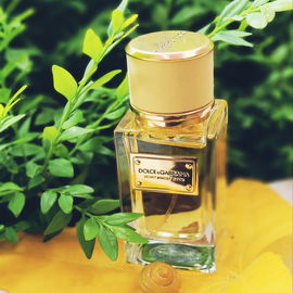Velvet Mimosa Bloom - Dolce & Gabbana