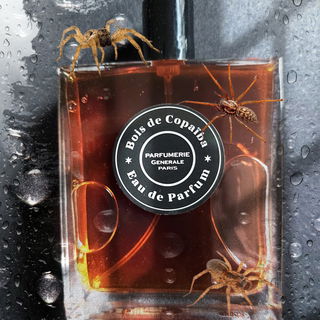 Mein Trostduft für kalte, ungemütliche und gruselige Tage. ;-)