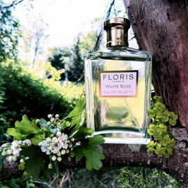 White Rose (Eau de Toilette) - Floris
