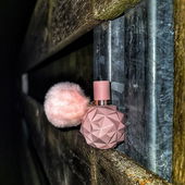 Für Fresh.. Verschleiß oder Nacht ;D (by ChatonNoir)