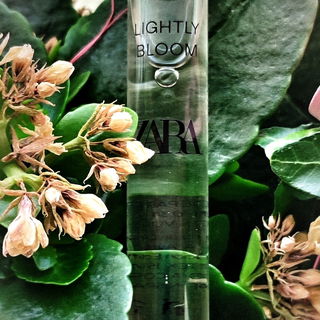 Lightly Bloom von Zara