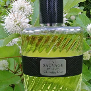 Eau Sauvage Parfum (2017) by Dior