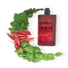 Hot Water (Eau de Toilette) - Davidoff
