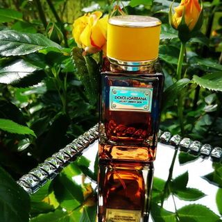 Velvet Amber Skin - Dolce & Gabbana