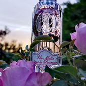 Röslein Rosarot am frühen Morgen. (by GreenIvy)