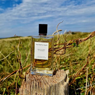 Bois d'Iris by Van Cleef & Arpels