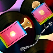 Studio 54 (by Amourage)