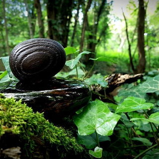 Mon nom est rouge - Majda Bekkali