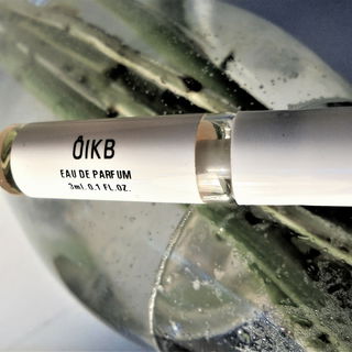 Die Wurzeln in Gualtieris Garten