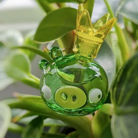 Euphoria (Eau de Parfum) - Calvin Klein